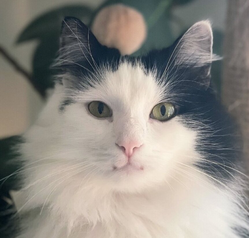 Charlie